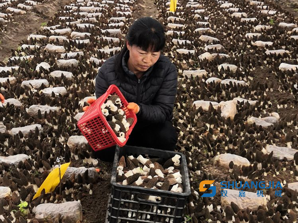 1651458409815301.png 10-36-01-67-283825.png