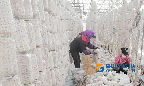 1652492191210363.jpg 15-06-19-96-283825.jpg